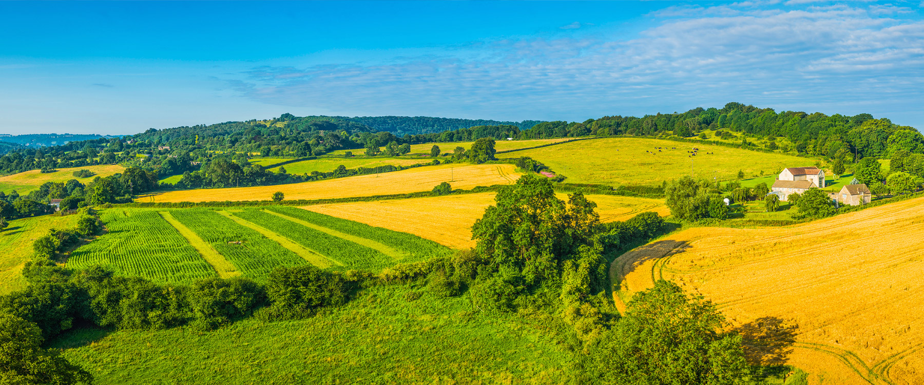 Agriculture