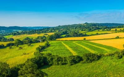 ALA Yorkshire Agricultural Tenancy Law Seminar thumbnail